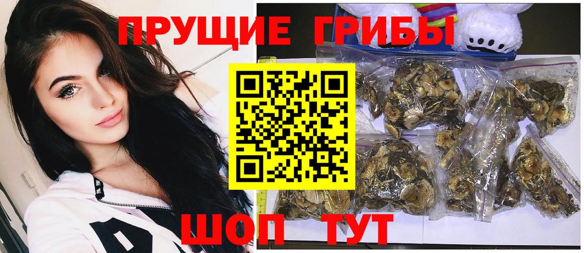 Галлюциногенные грибы MAGIC MUSHROOMS Советская Гавань